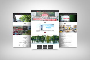 接吻魚企業官網 ZCOOL平臺上的網頁與網站設計